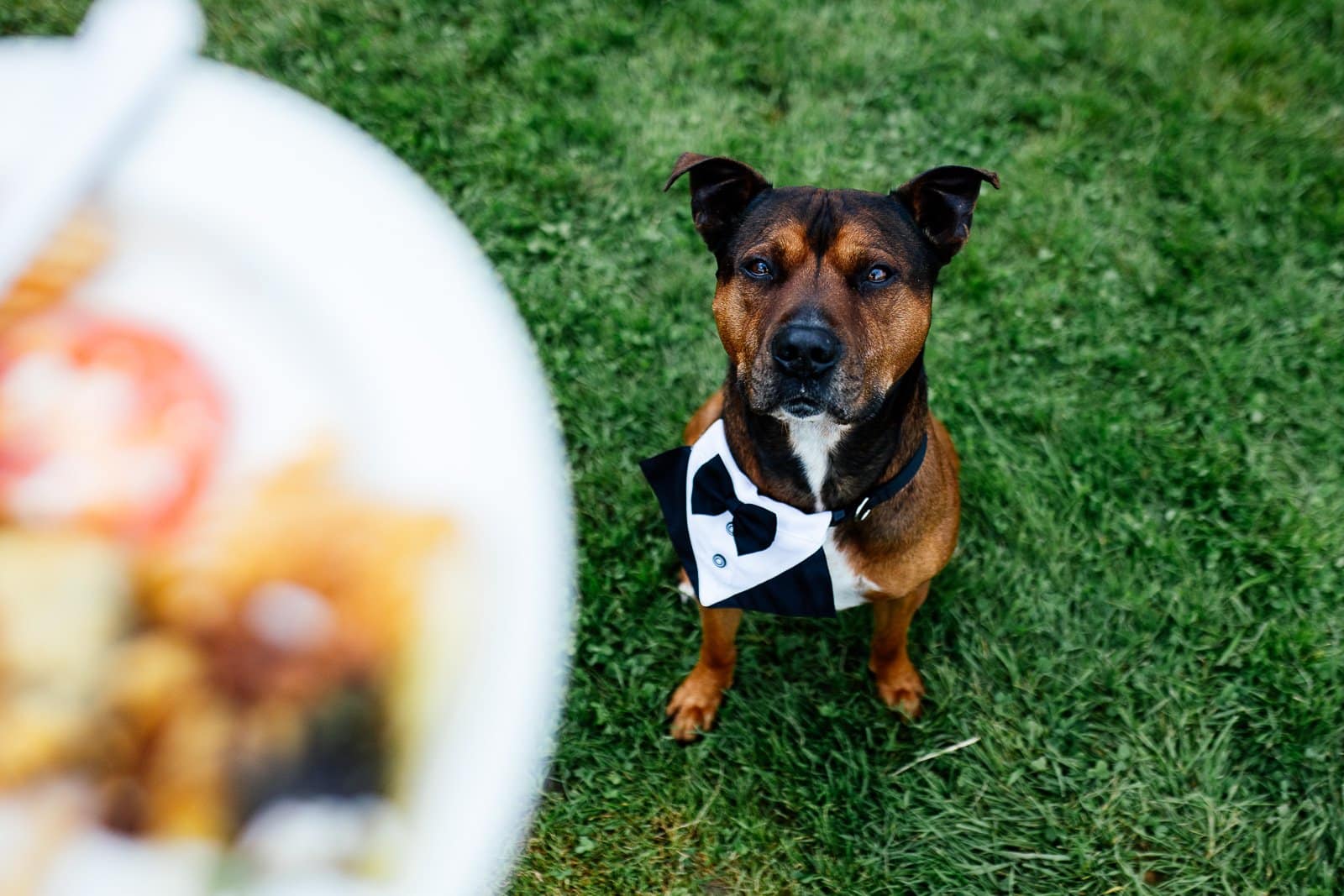 Beautiful Bath Wedding Photographer Portfolio – Natural & Documentary Style 32 Derryn Vranch Photo Film Bath Somerset Wedding Photographer 28